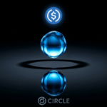 Circle Q1 ricavi in crescita e USDC vola a $77 miliardi
