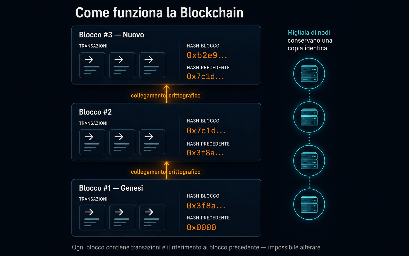 Glossario Crypto: tutti i termini da conoscere nel mondo delle criptovalute Infografica esplicativa: come funziona la blockchain, struttura a blocchi collegati crittograficamente con hash e transazioni