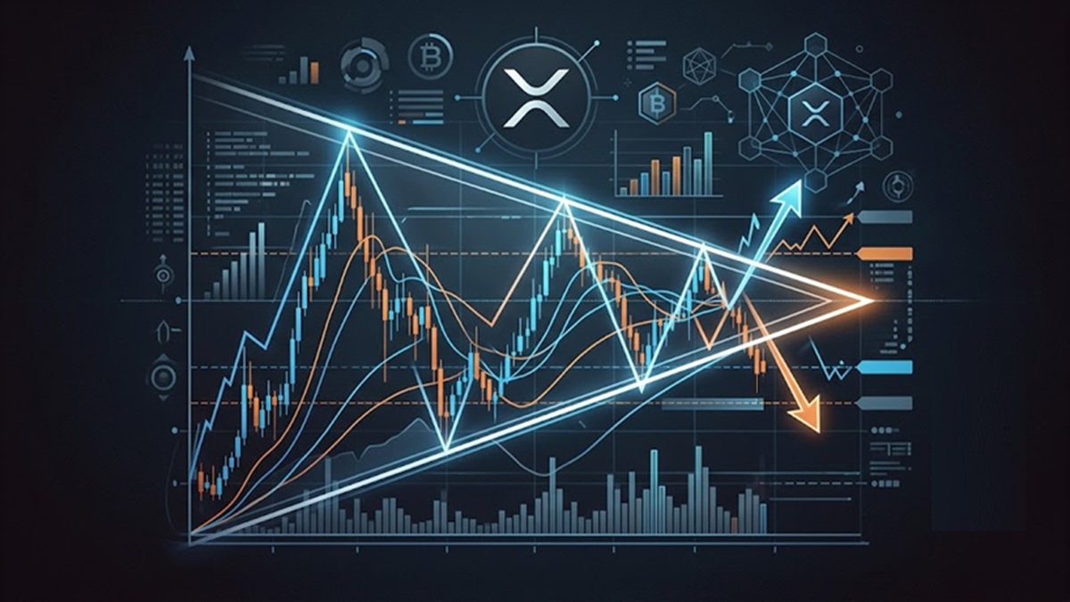xrp schema tecnico