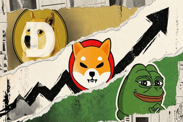 memcoin agosto 26