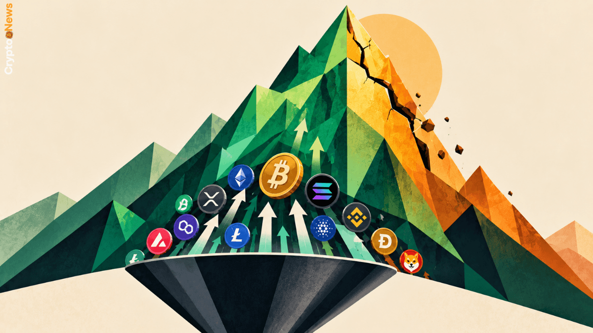Altcoin, rally da 371 miliardi: rischio distribuzione in vista rally altcoin 371 miliardi dollari depositi exchange