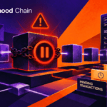 Robinhood Chain blocco produzione 14 minuti Arbitrum